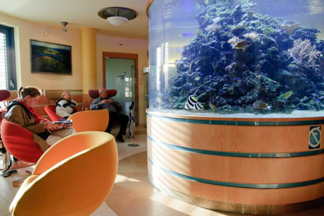 Reception and Waiting Area